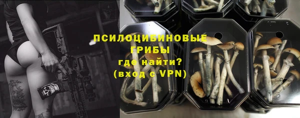 индика Аркадак