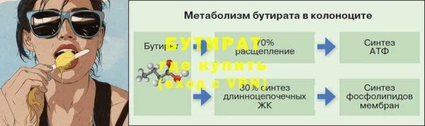 индика Аркадак