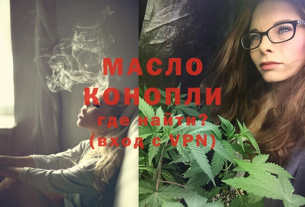 индика Аркадак