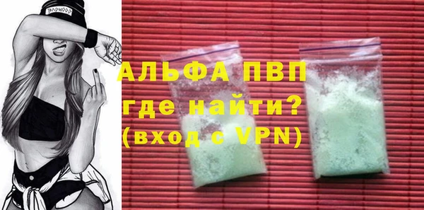индика Аркадак