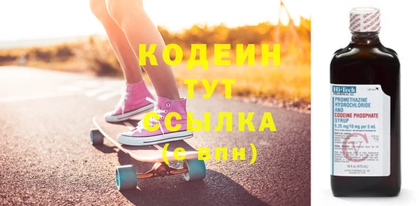 индика Аркадак