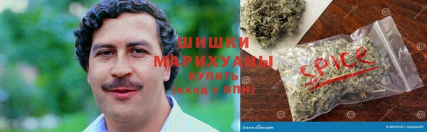 индика Аркадак
