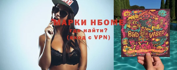 индика Аркадак