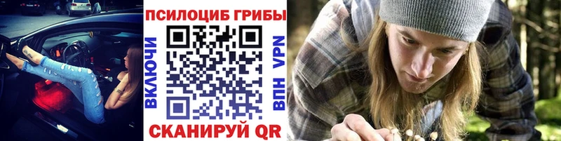 OMG онион  где найти   Саянск  Псилоцибиновые грибы мицелий 